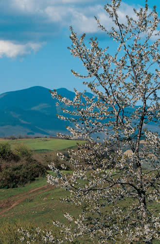 L'Amiata vista dalla Val D'Orcia